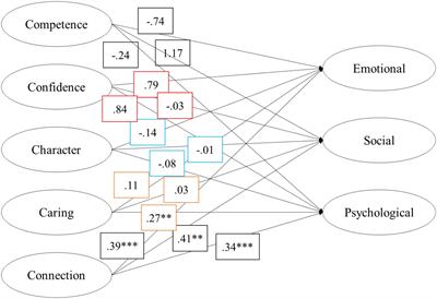 Connection in Youth Development Key to the Mental Health Continuum in Ghana: A Structural Equation Model of Thriving and Flourishing Indicators